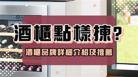 放酒的櫃子|酒櫃推介、酒櫃比較、酒櫃牌子及選購攻略 2024